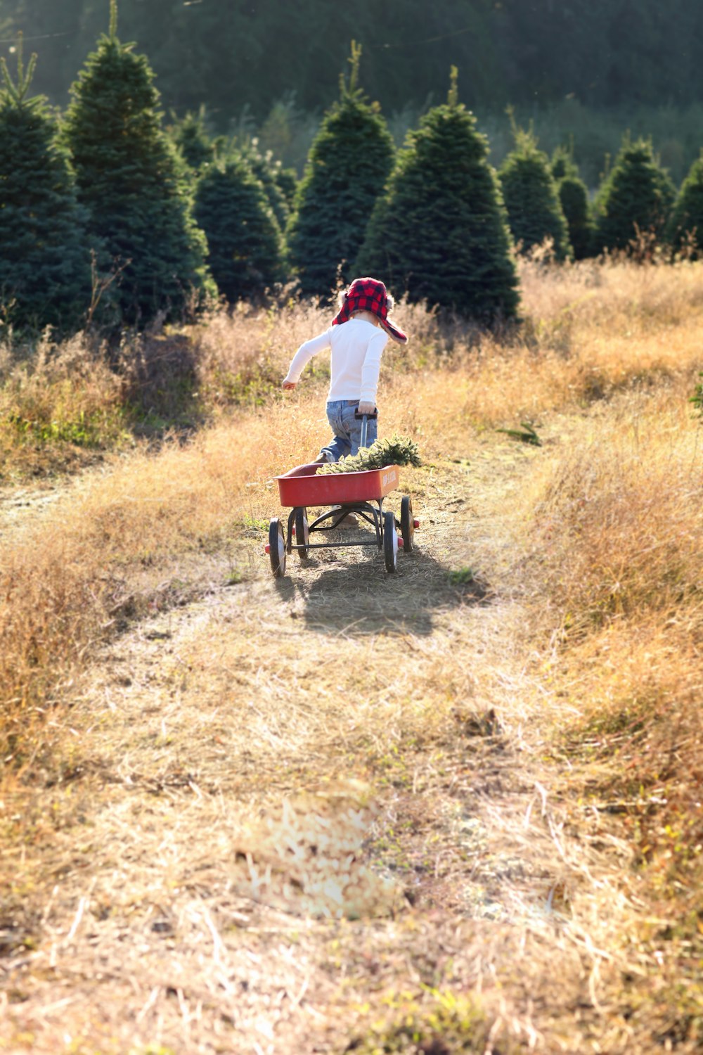 girl carrying orange pull wagon