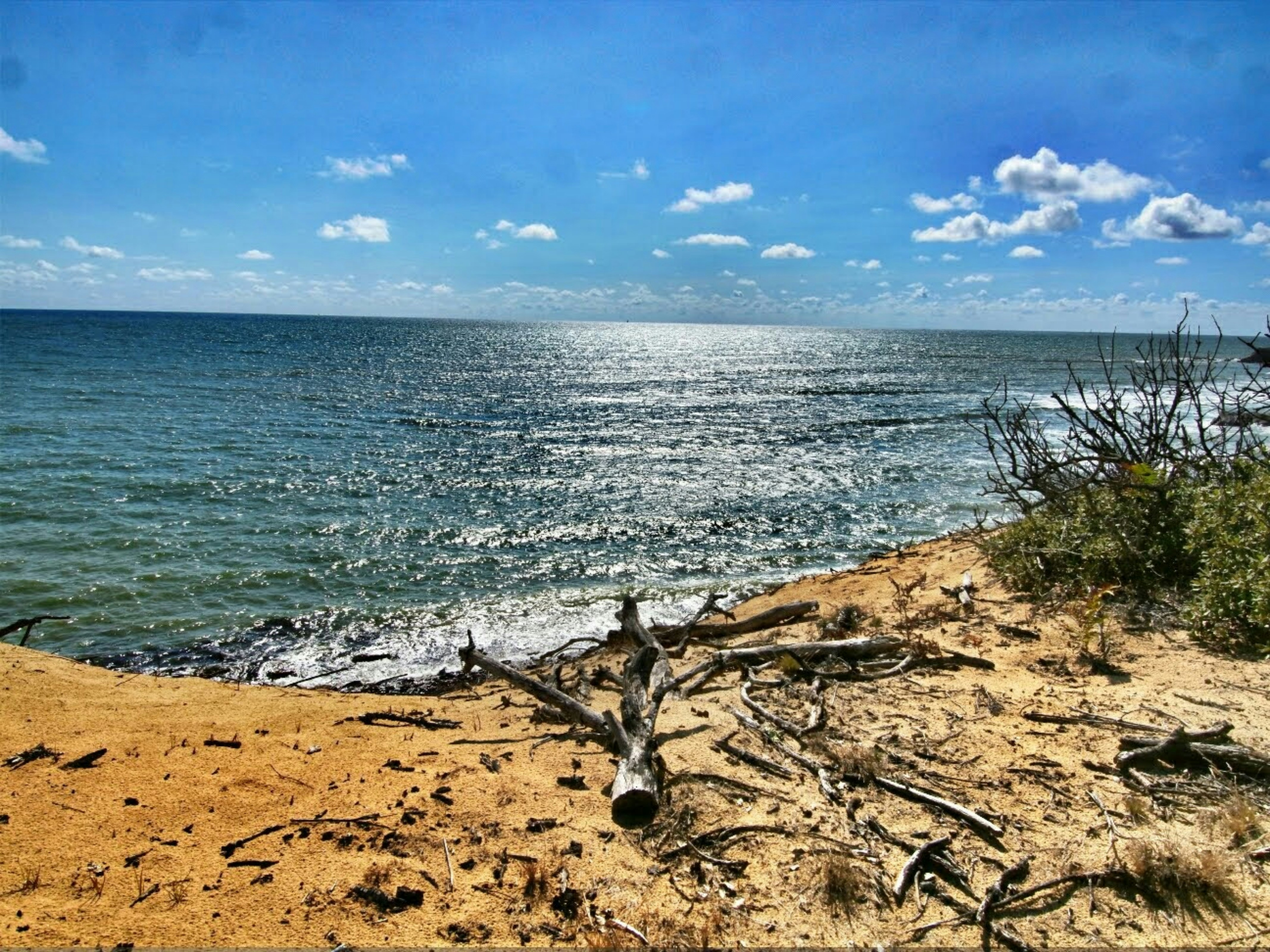 Photo by arthurmo