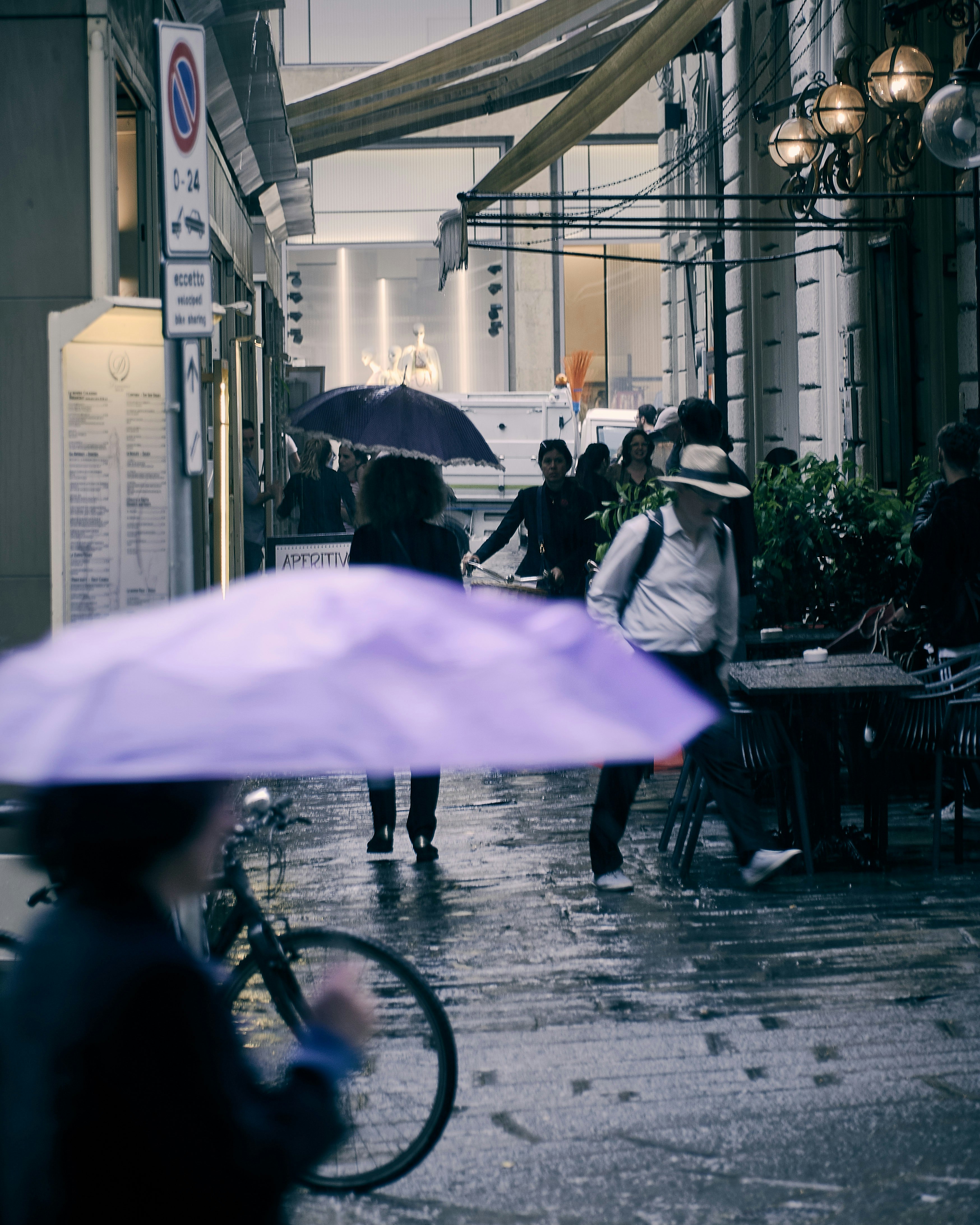 person holding purple umbrella