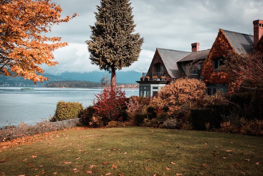 house near body of water