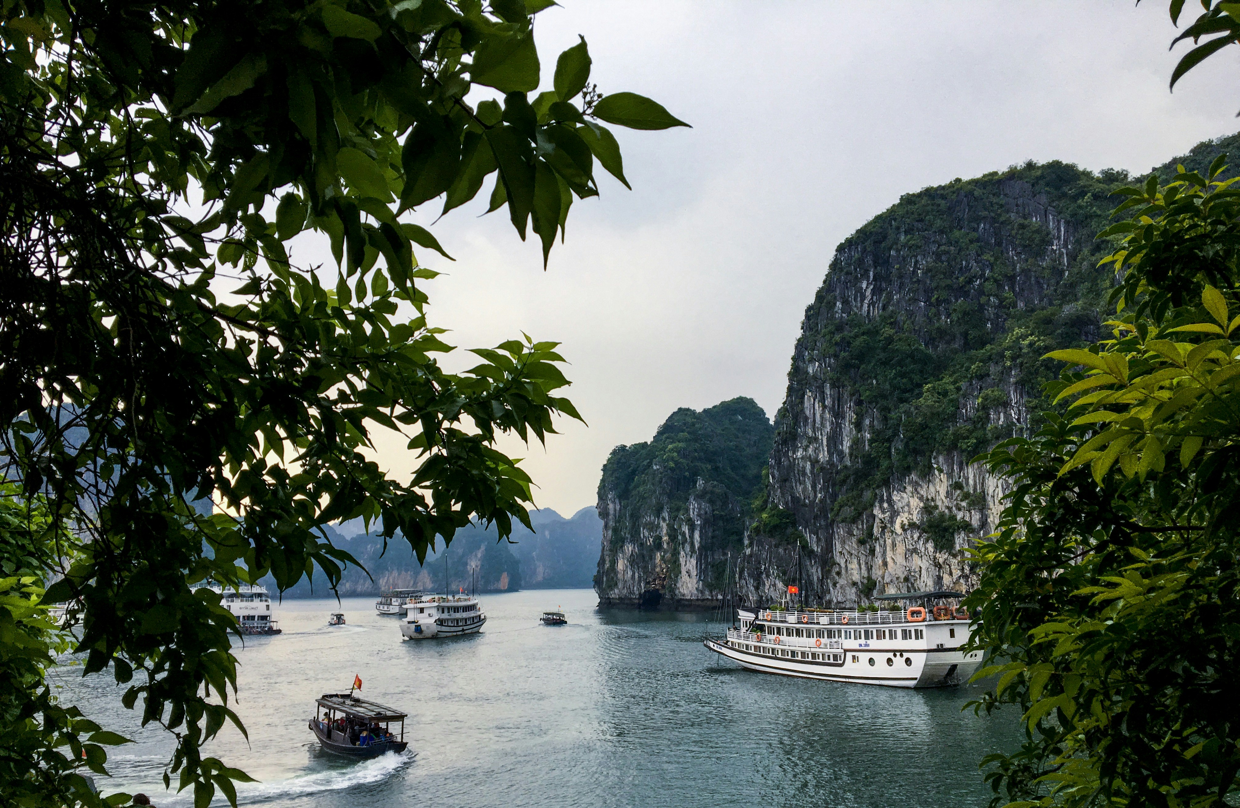 Photo by siamialtrice_