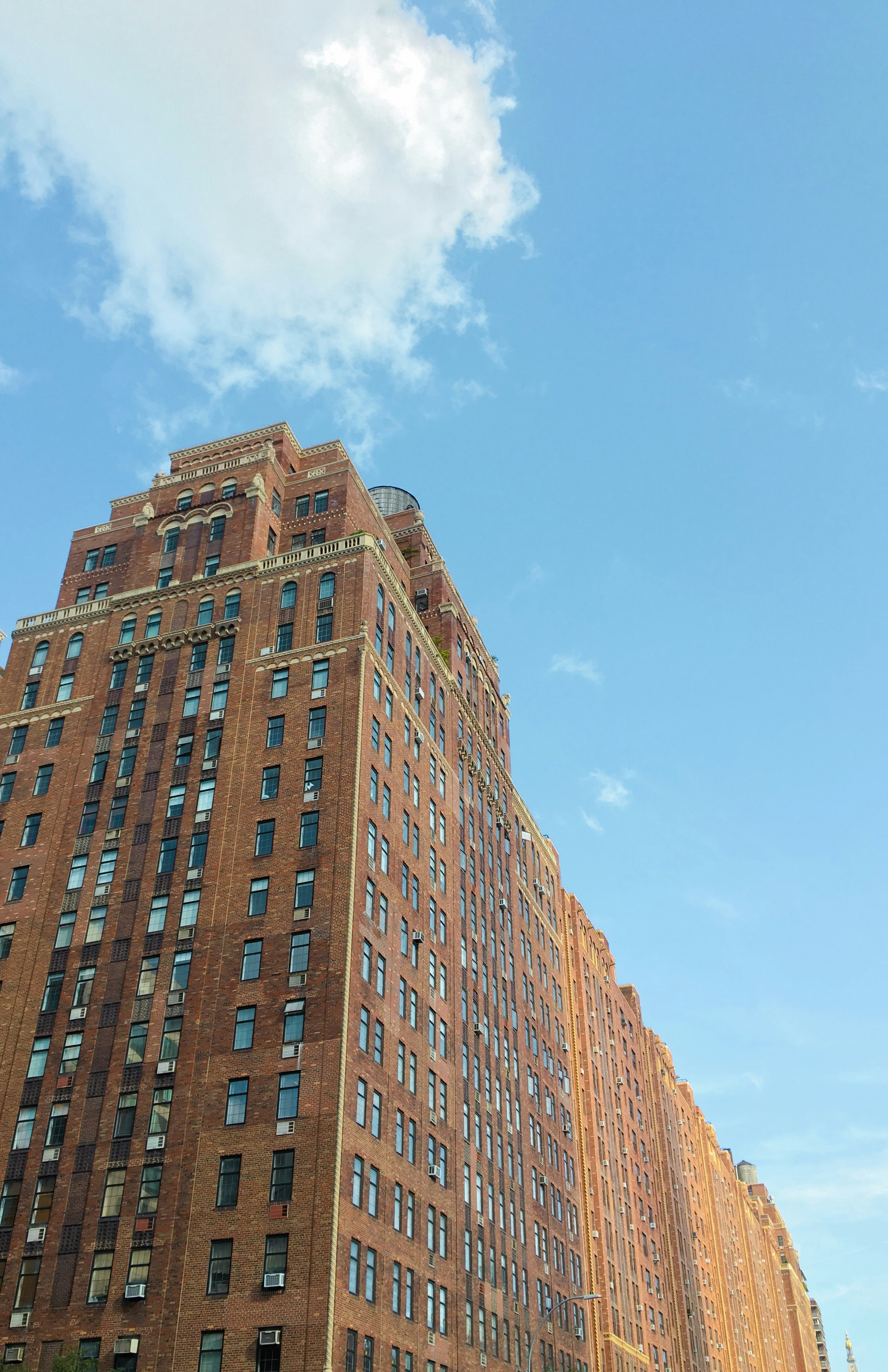 Photo by siamialtrice_