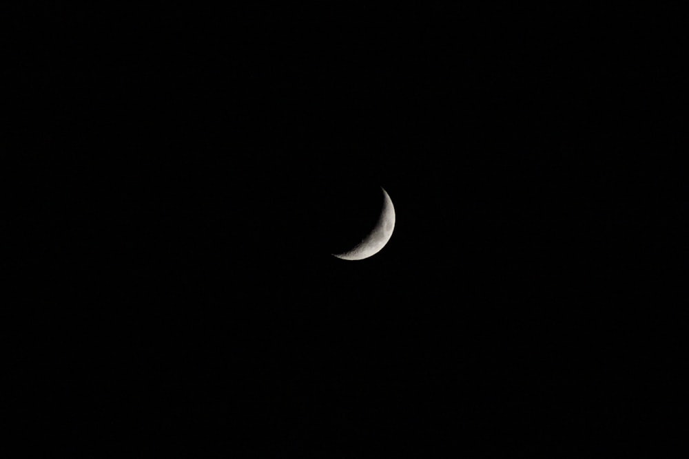 fotografia em tons de cinza da lua crescente