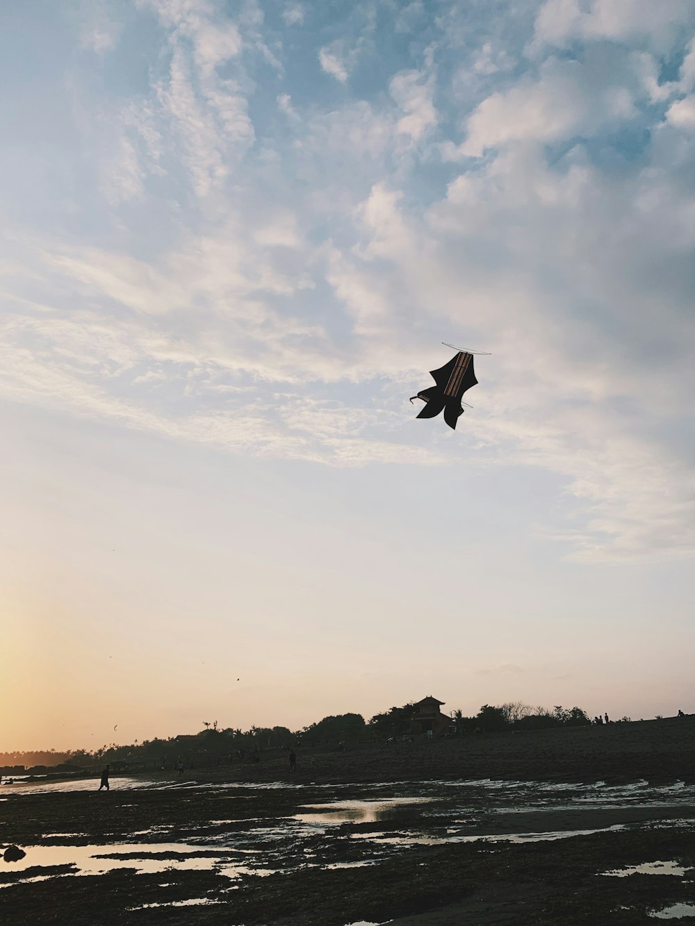 silhouette of kite