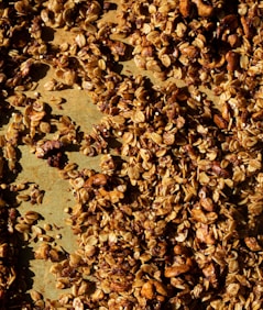 brown leaves on gray soil