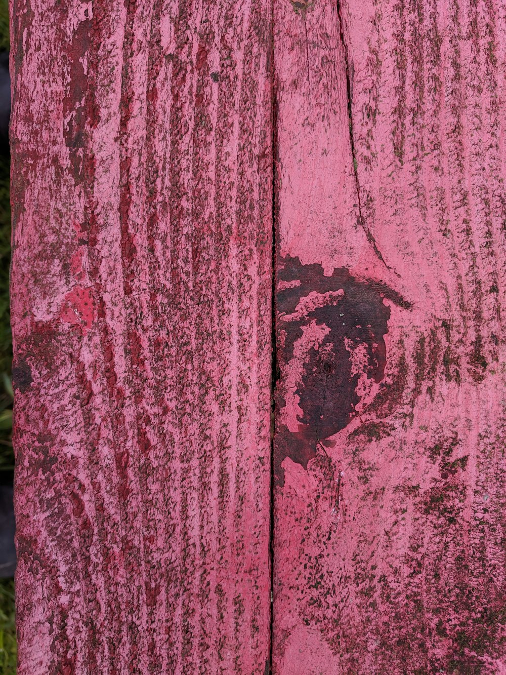 pink painted wall