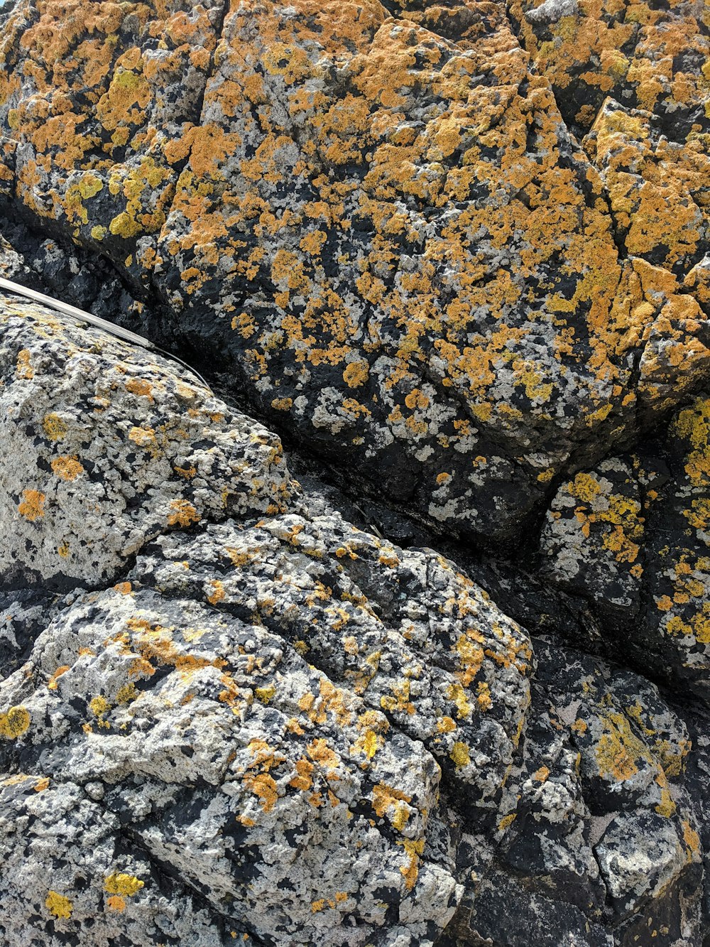 a close up of rocks with yellow moss growing on them