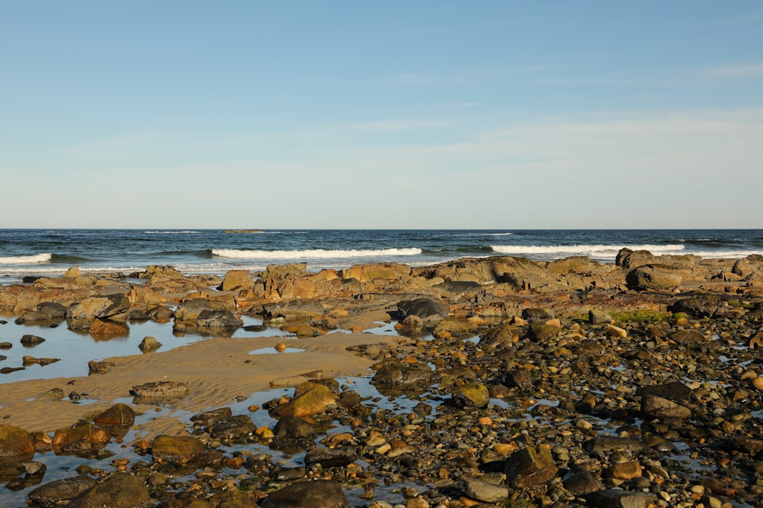 seashore during daytime