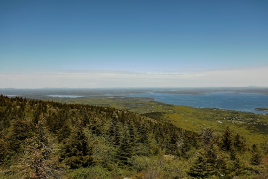 landscape photography of mountain with trees in Acadia National Park United States