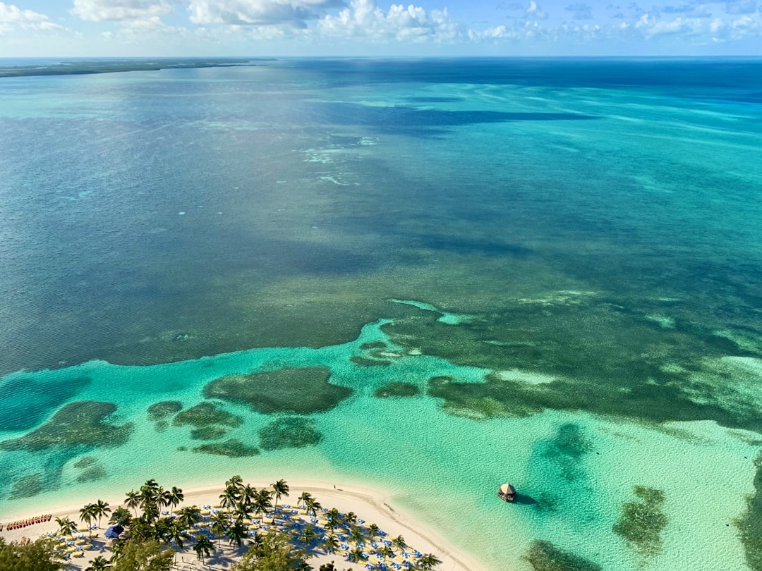 shoreline and body of water during daytime