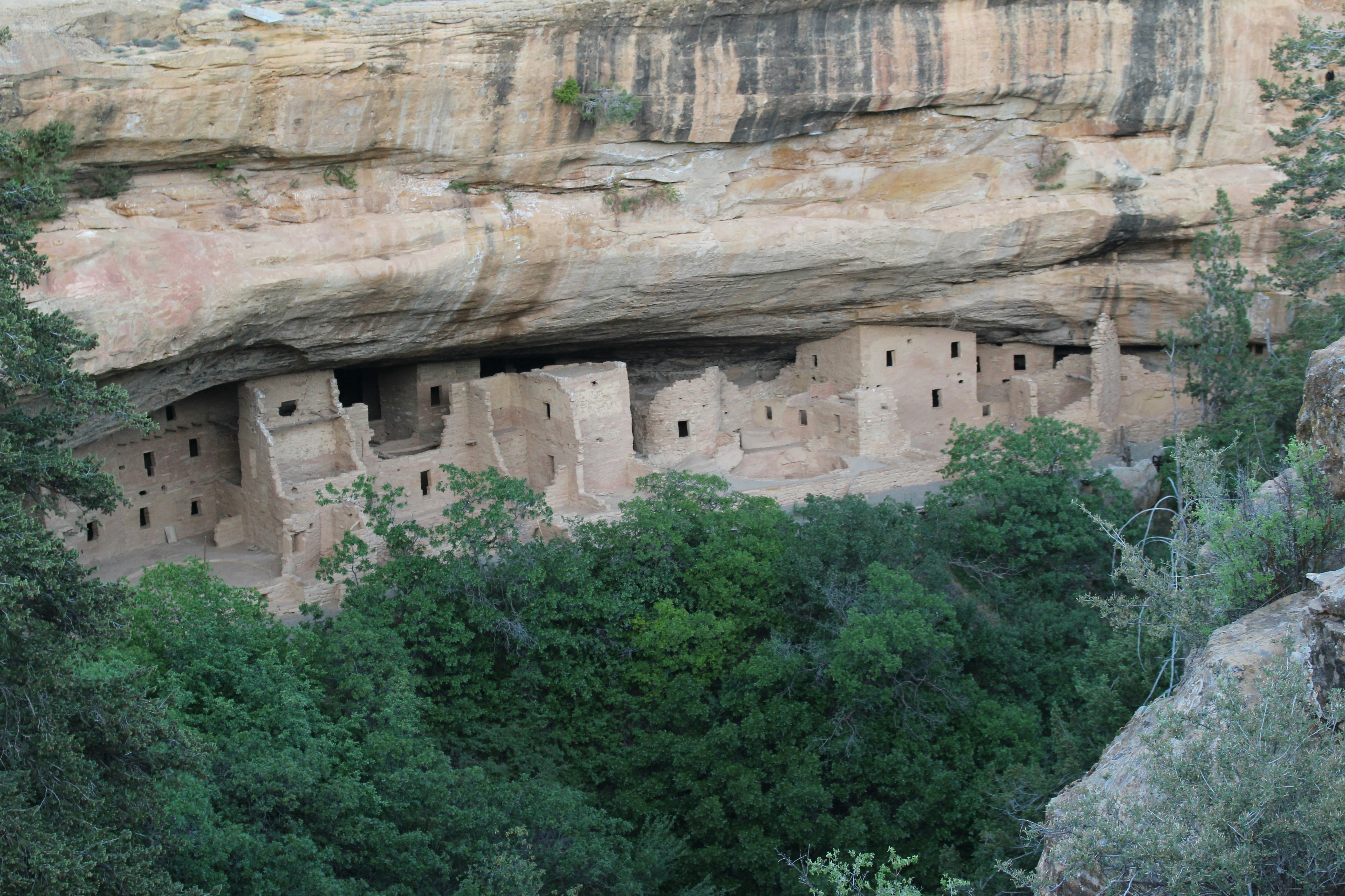 brown and gray rock formation beside green trees at daytime