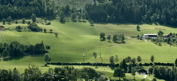 A picturesque landscape featuring lush green fields, scattered trees, and a dense forest in the background. Several farmhouses and rural buildings are nestled among the greenery, with a winding path leading through the fields.