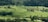 A picturesque landscape featuring lush green fields, scattered trees, and a dense forest in the background. Several farmhouses and rural buildings are nestled among the greenery, with a winding path leading through the fields.