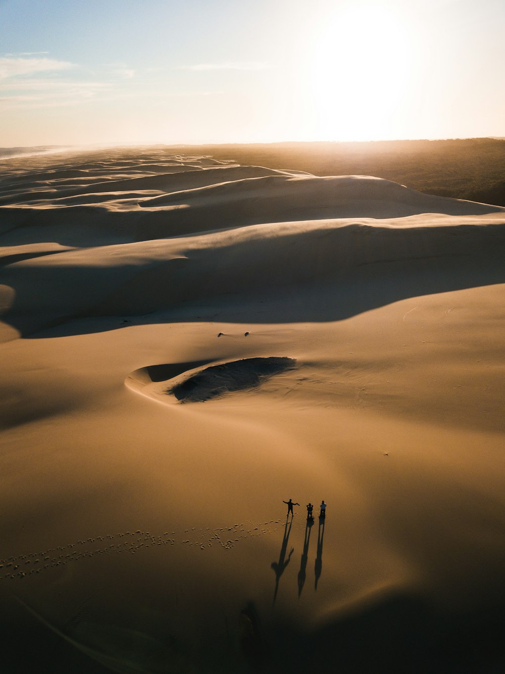 birds eye photography of people on desert