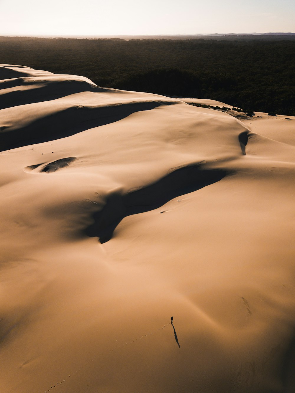 view of desert during golden hour