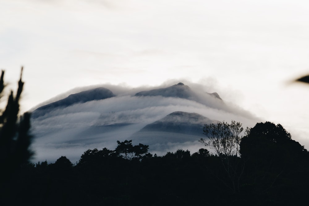 silhouette of trees and mountains with fog