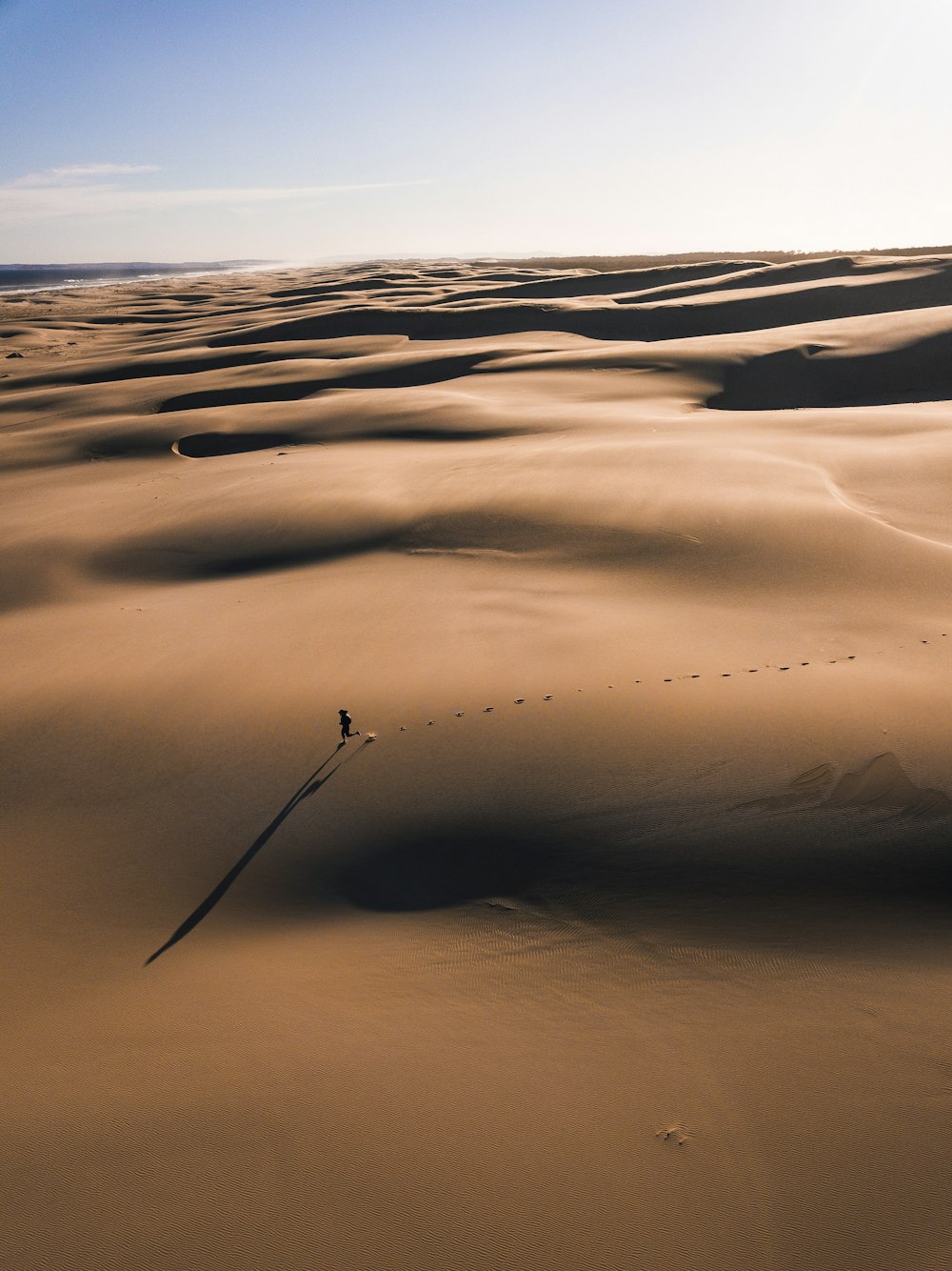 fotografía de persona caminando en el desierto