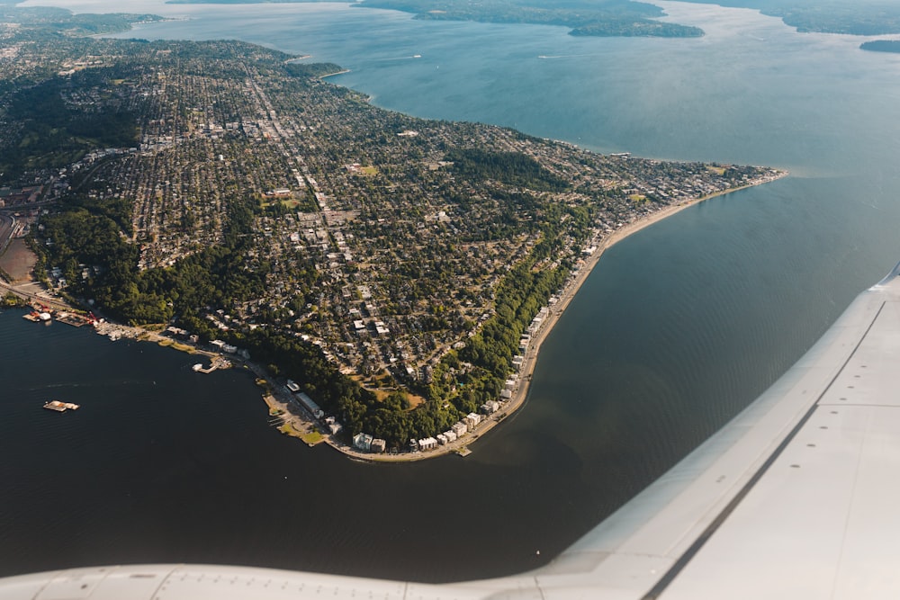 aerial photography of city