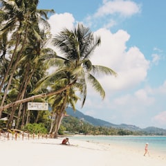 Sleep, work and swim in the Cospace paradise of Koh Phangan