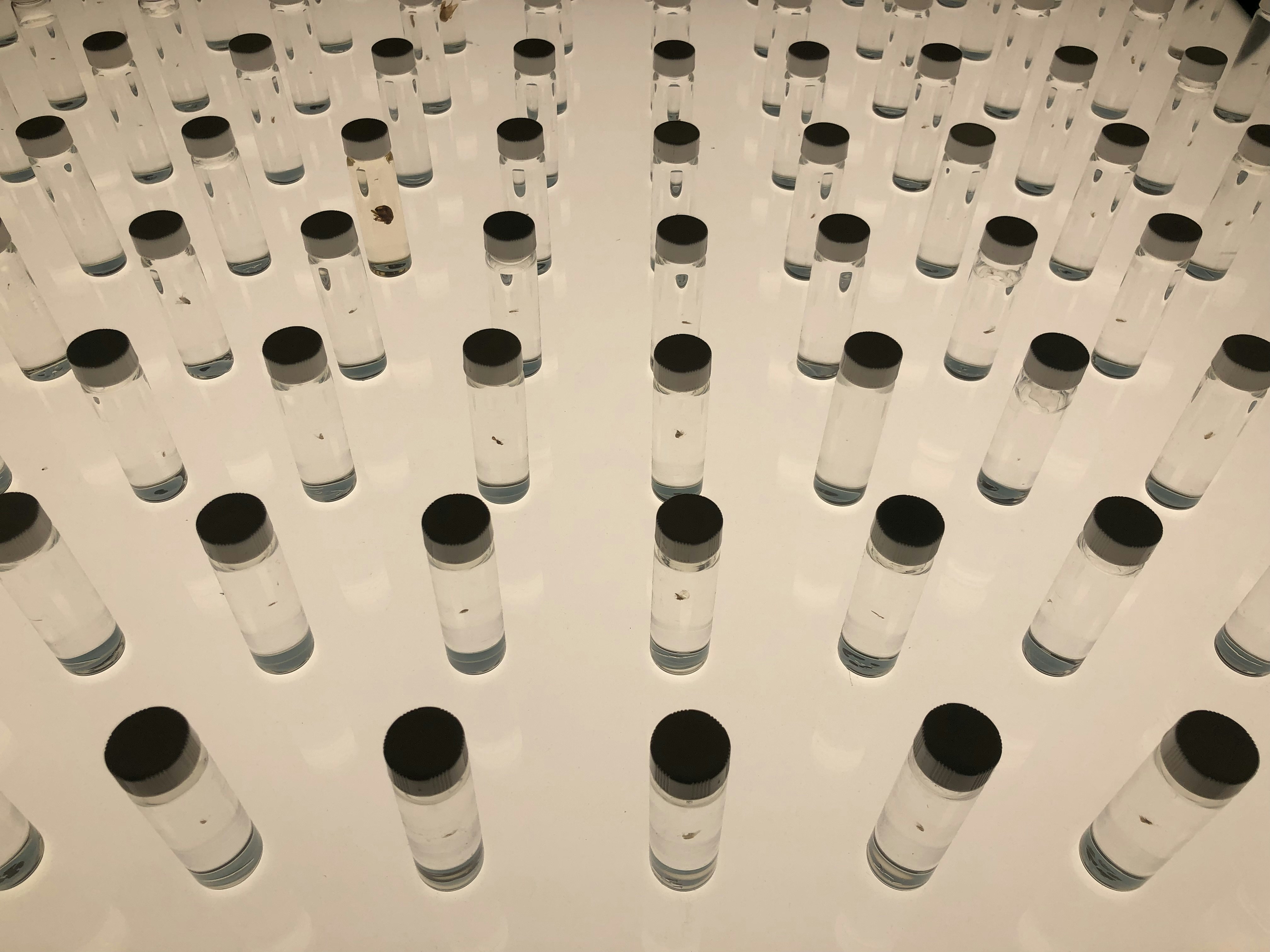 bacteriostatic water vial laboratory