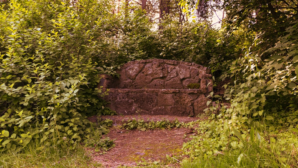 green plants growing near grey concrete wall