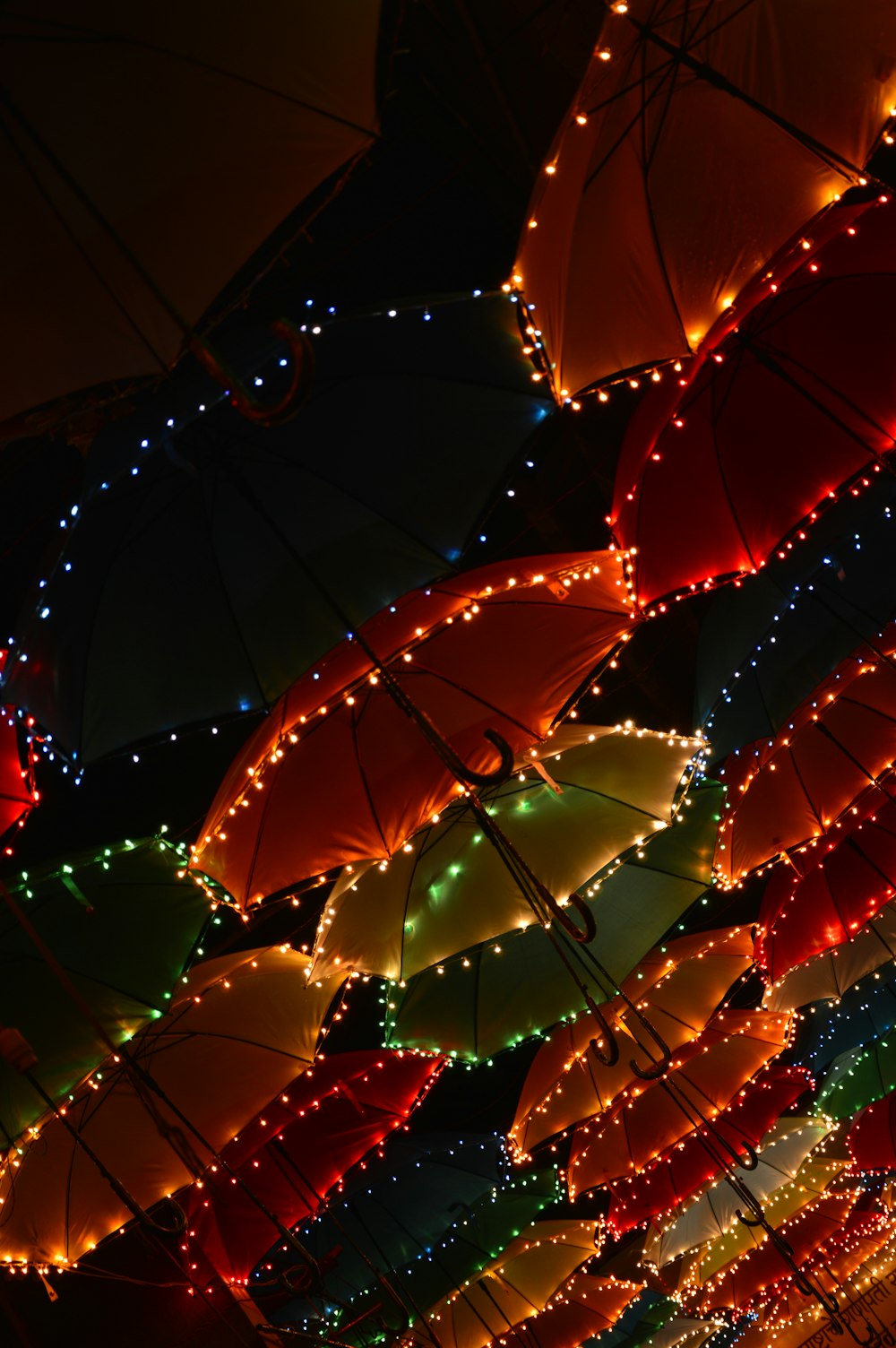 closeup photo of hanged umbrella with lighted string lights