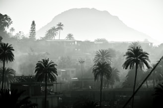 view of foggy mountain