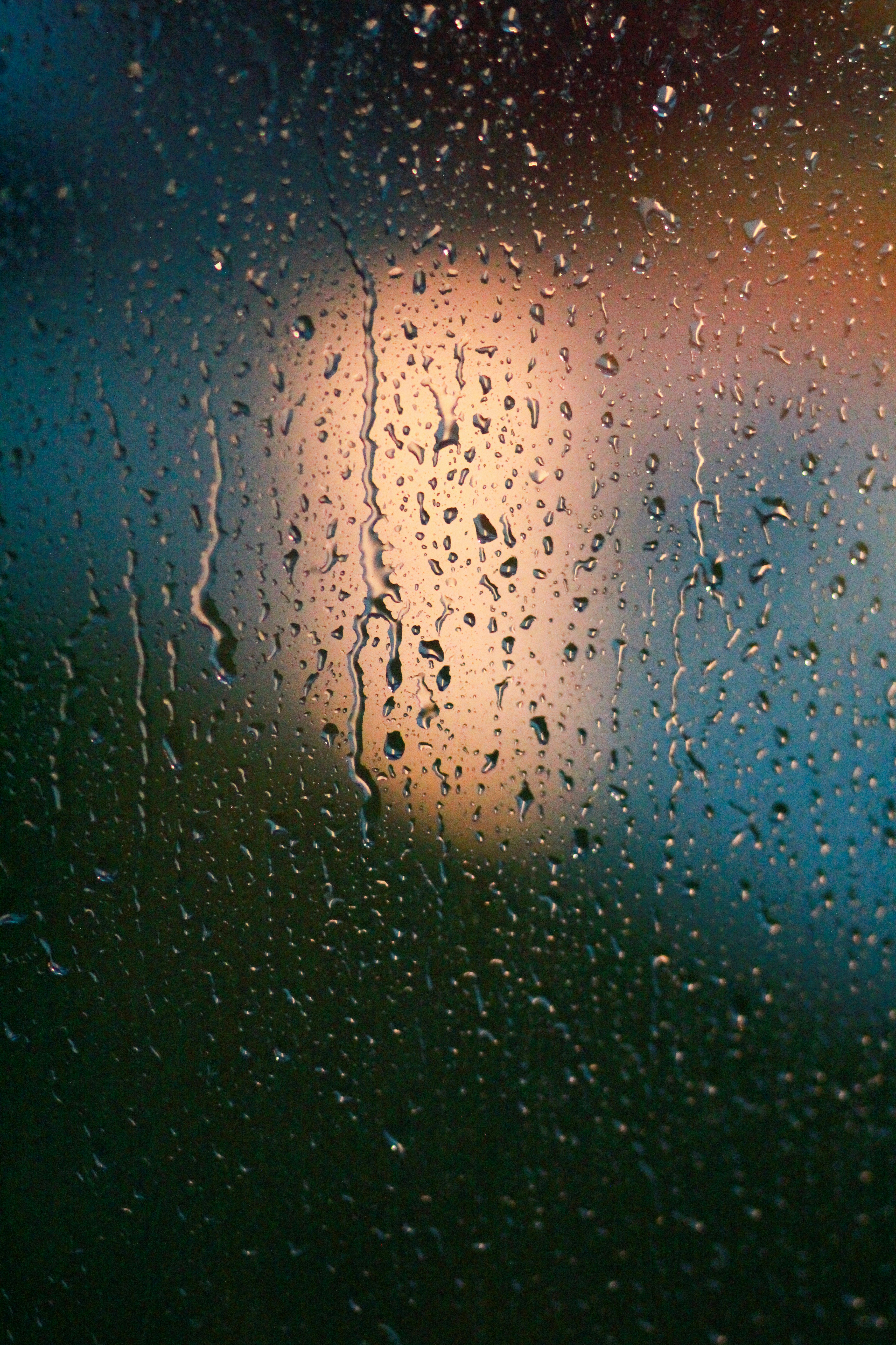 Photo by meghanschiereck