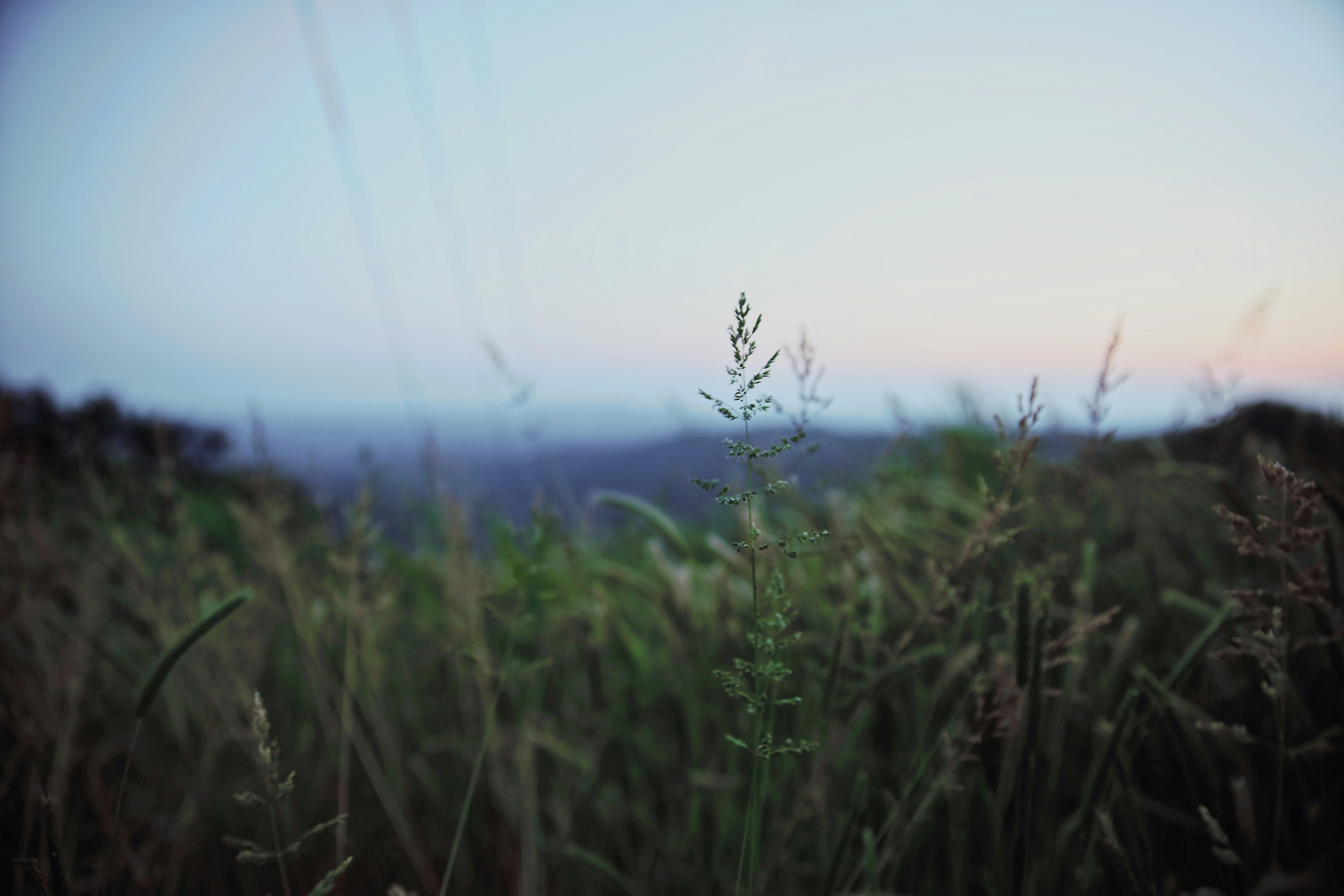 Photo by thejacks0n5