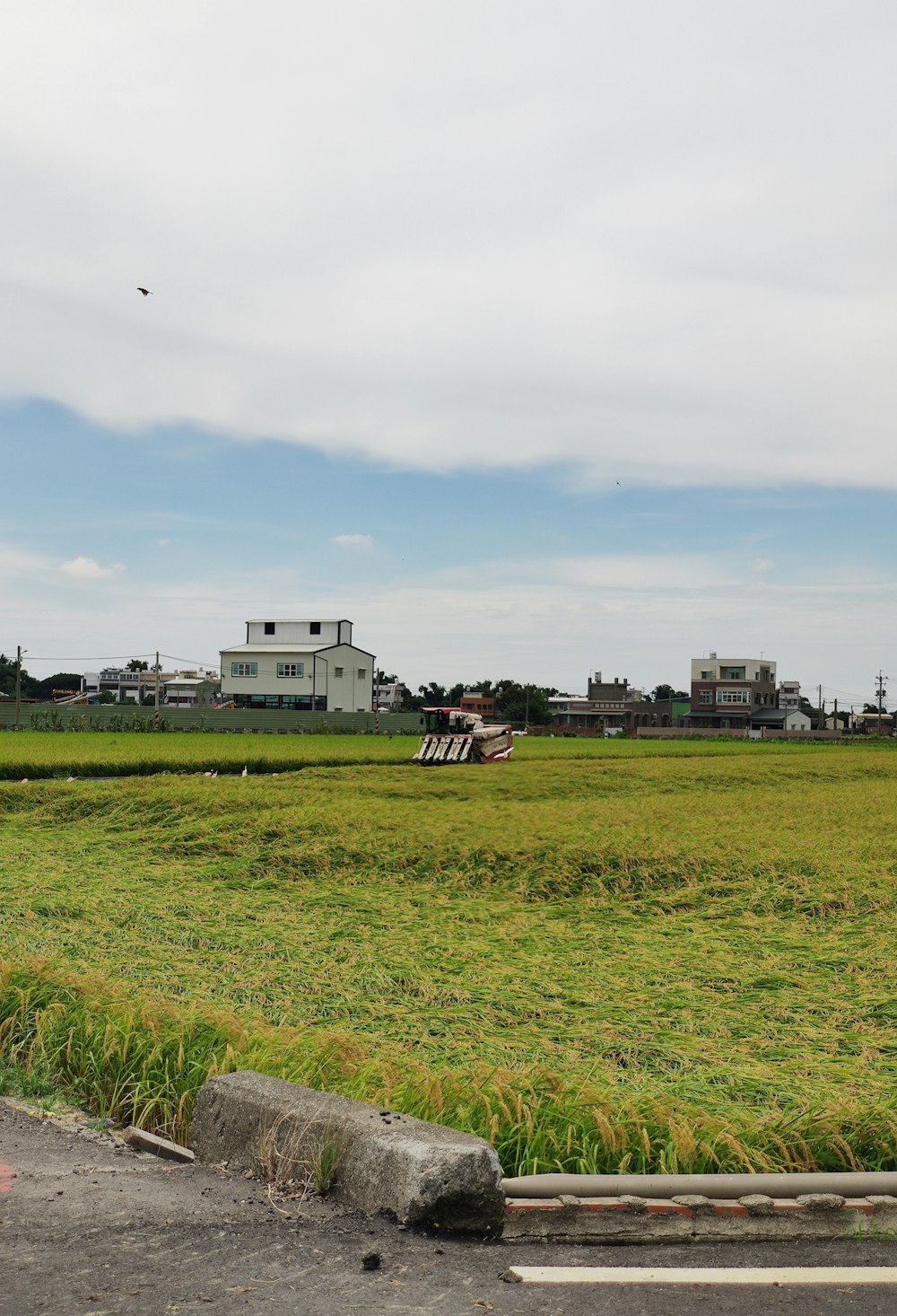 grass and buildings covered field during day
