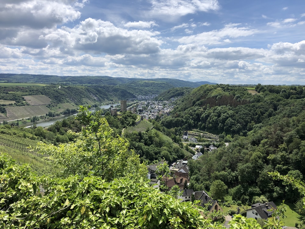 houses in valley near river