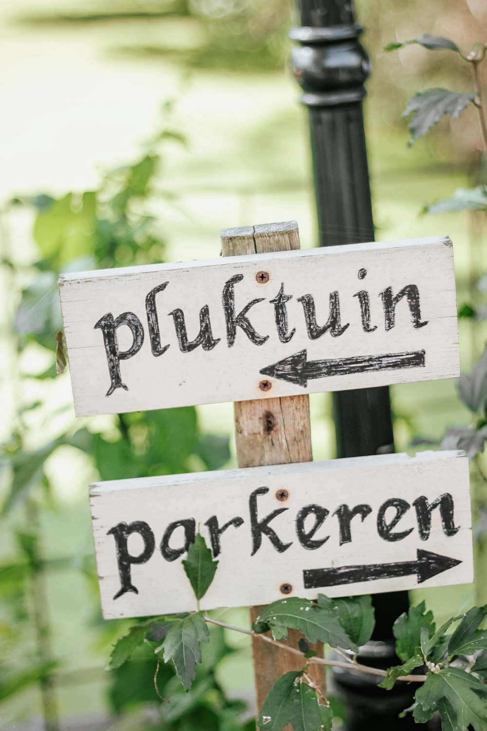 pluktuin pointing left and parkeren pointing right signs on wooden post