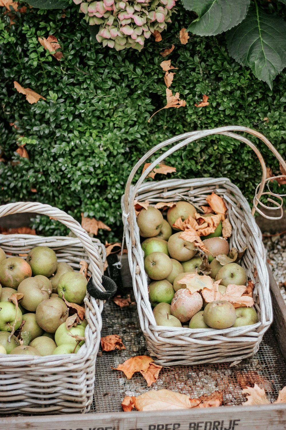 two basket of apples