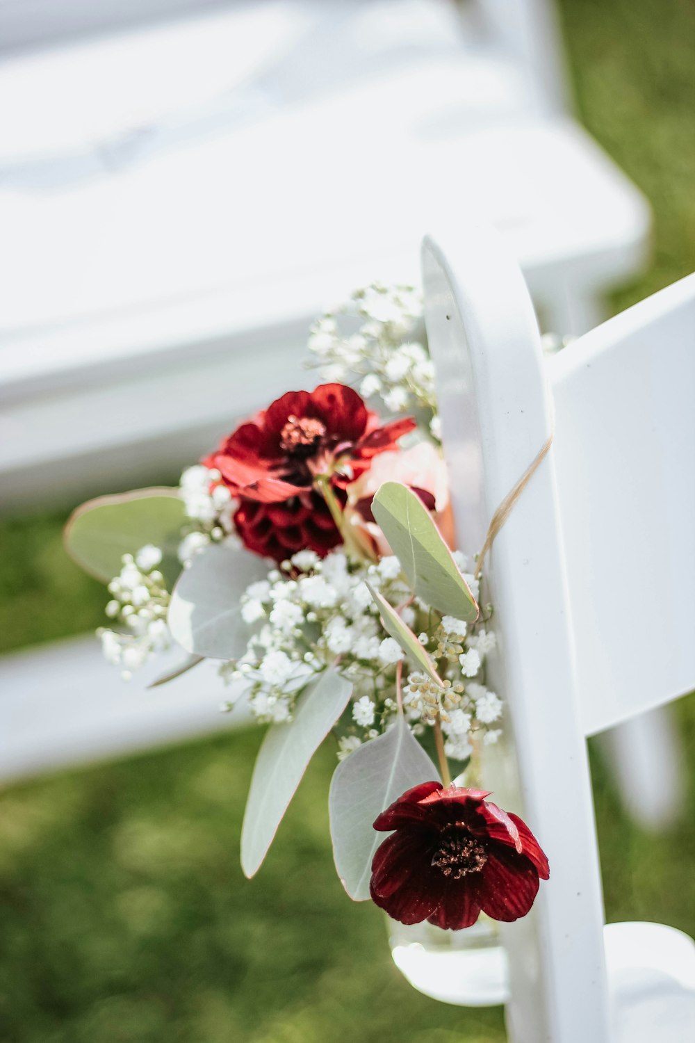 selective focus photography of red flowers