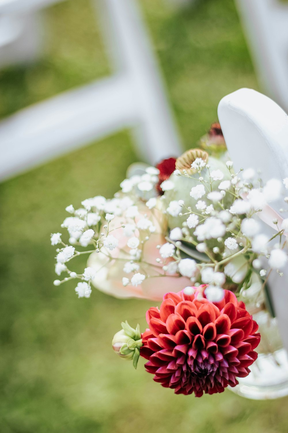 red petaled flower