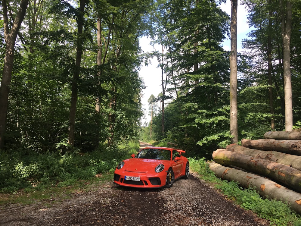 red coupe under tree