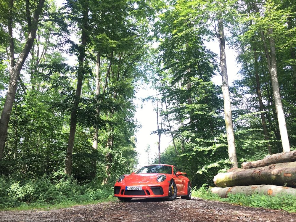 red vehicle in jungle during daytime