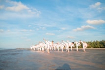 A group of people practicing martial arts on a sandy beach under a clear blue sky. They are lined up in formation, performing synchronized high kicks. The scene is peaceful with a vast expanse of open sky and a few scattered clouds. In the background, there are trees lining the edge of the beach.