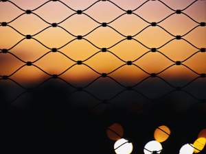 Wire Mesh Fence