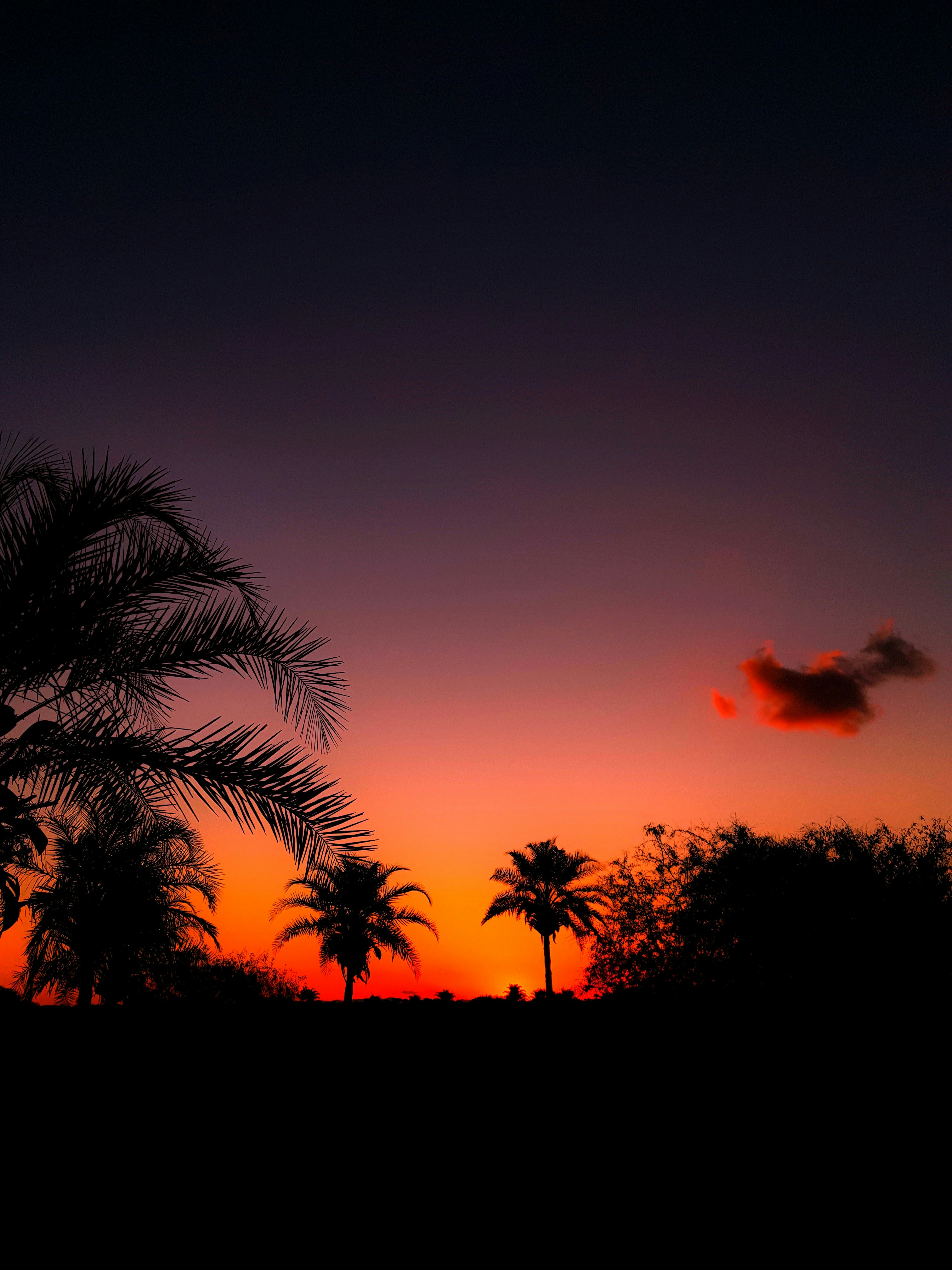 Photo by moisessantana