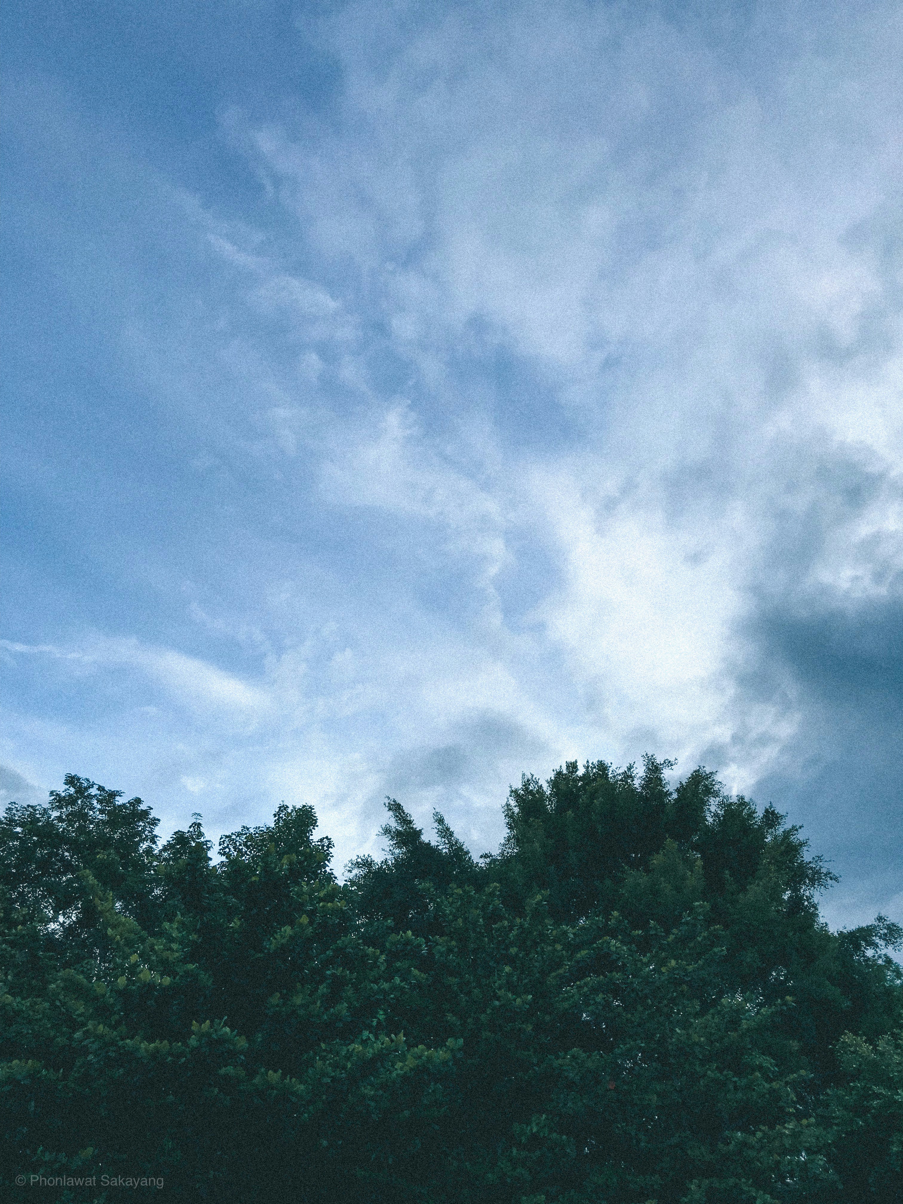 Lampe Tempete Definition De Lampe Tempete Dictionnaire La Langue Francaise