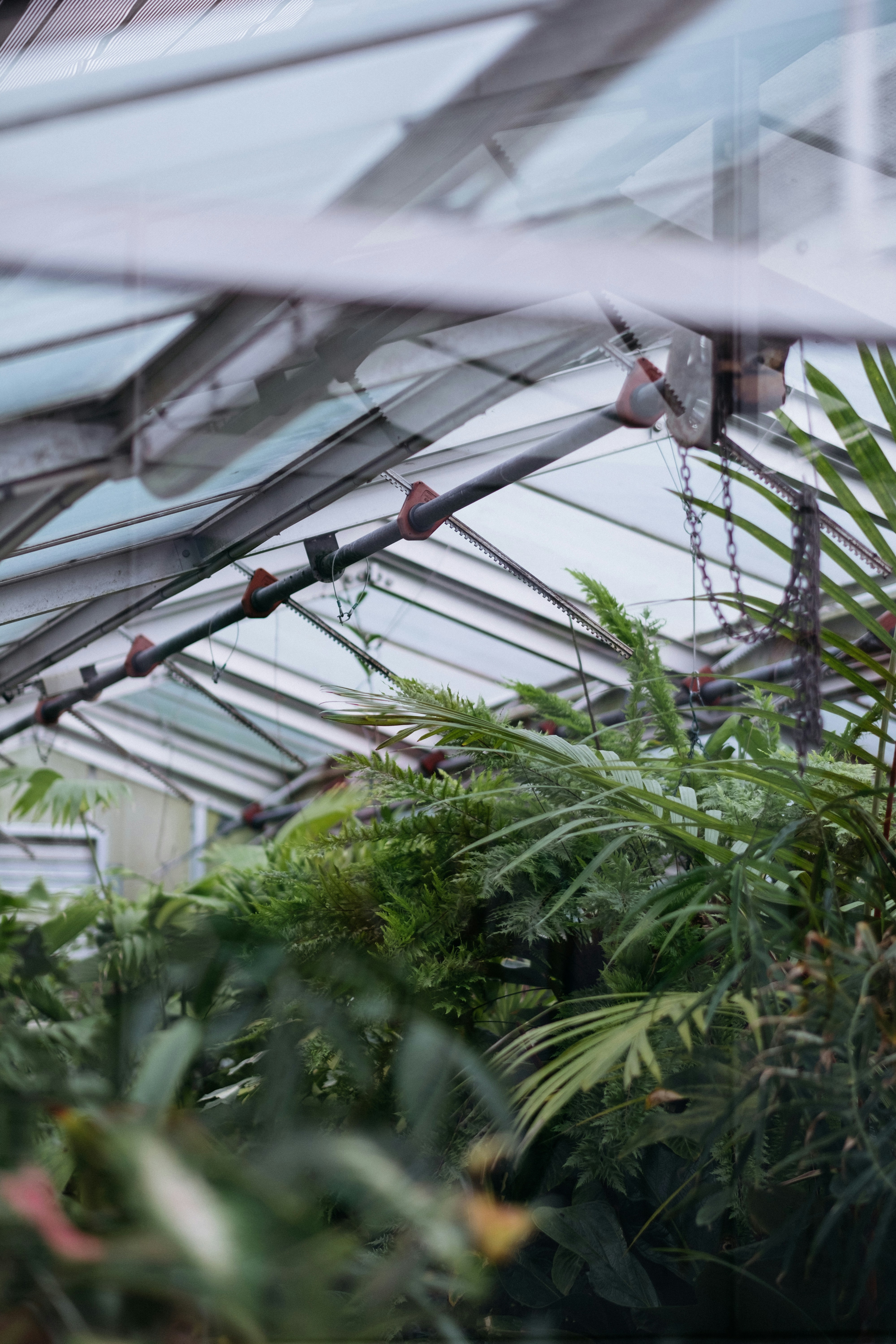 Photo by josiahatkins