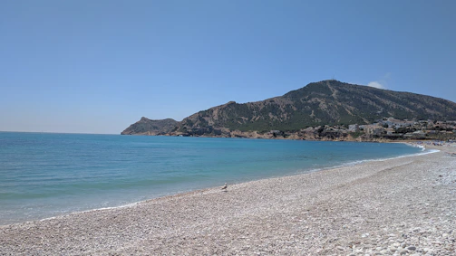 A tranquil beach on the island of Rhodes, framed by olive trees and crystal-clear turquoise waters.