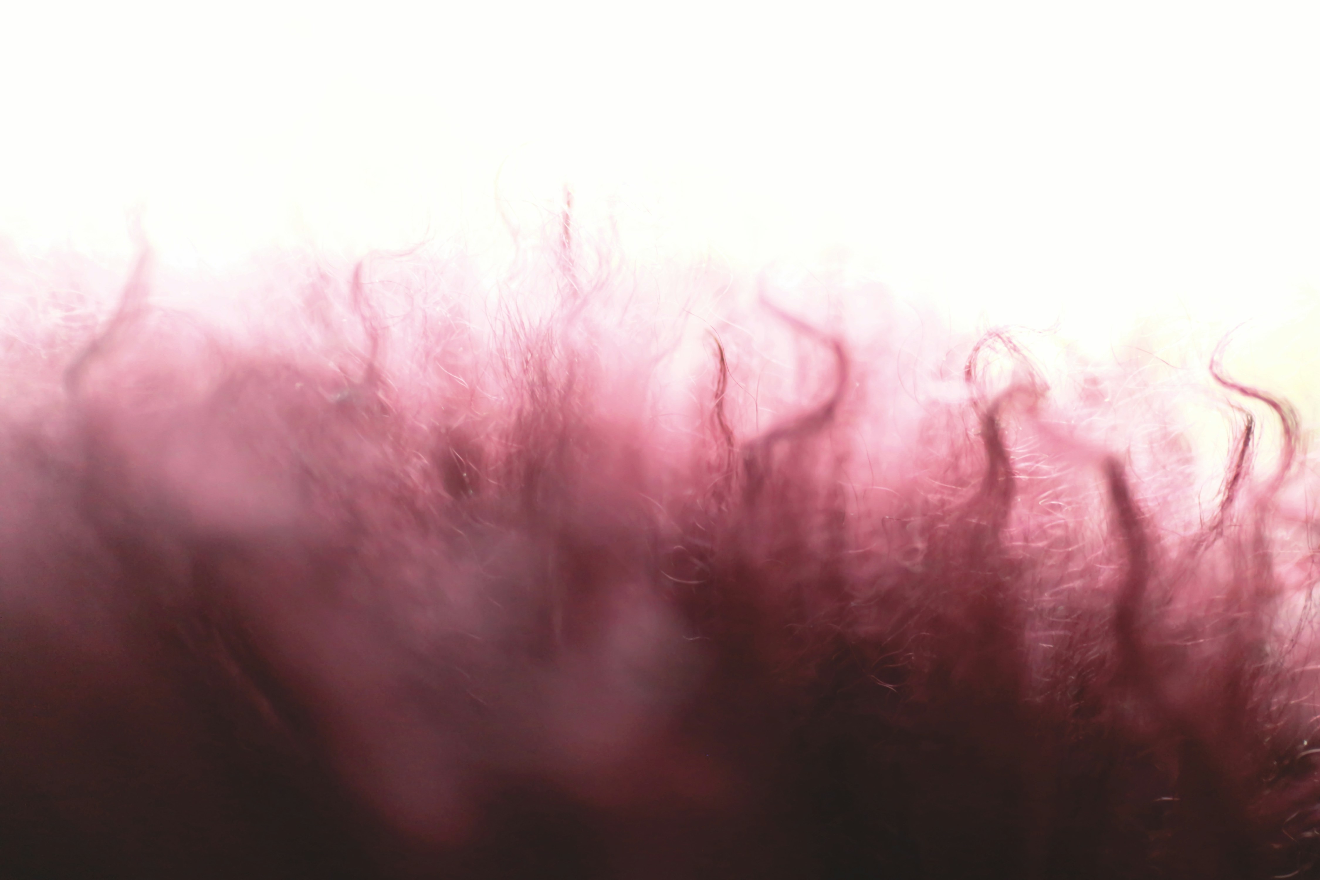 photo-1559995227-f8b0ff651fdd?ixid=M3wxMjA3fDB8MXxzZWFyY2h8Nnx8cHNpbG9jeWJlJTIwc3BvcmVuc3ByaXR6ZXxlbnwwfHx8fDE3NDgwMjIyMzR8MA\u0026ixlib=rb-4.1.0