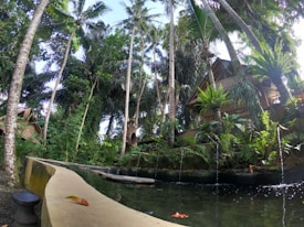 A serene tropical landscape featuring tall palm trees surrounding a tranquil pond. A rustic wooden hut is nestled among lush green foliage, creating a tranquil and secluded atmosphere. Water gently pours into the pond, which reflects the surrounding greenery and sky.