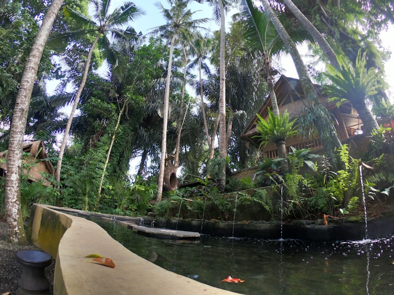 A serene tropical landscape featuring tall palm trees surrounding a tranquil pond. A rustic wooden hut is nestled among lush green foliage, creating a tranquil and secluded atmosphere. Water gently pours into the pond, which reflects the surrounding greenery and sky.
