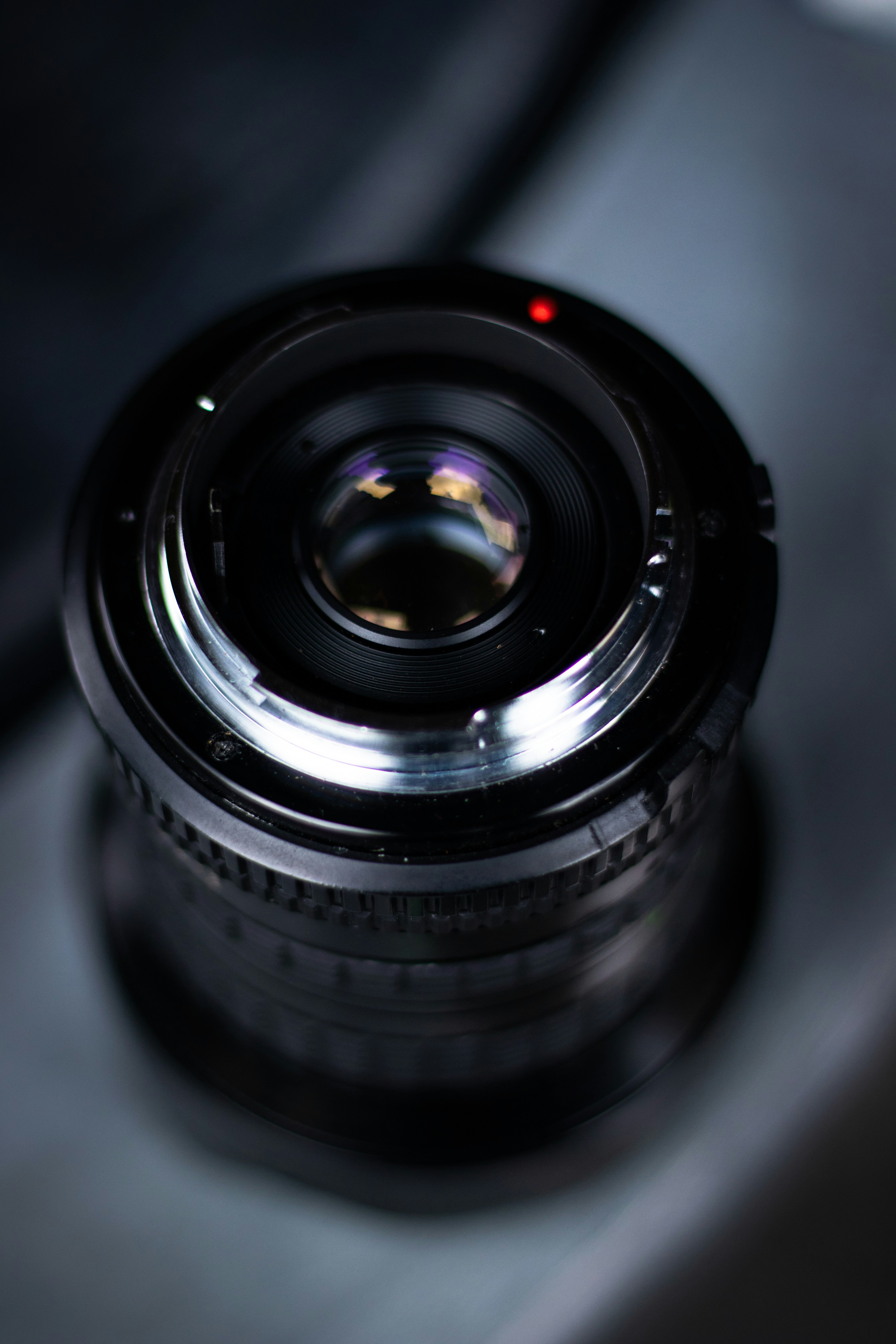 Photo by _king_louie_