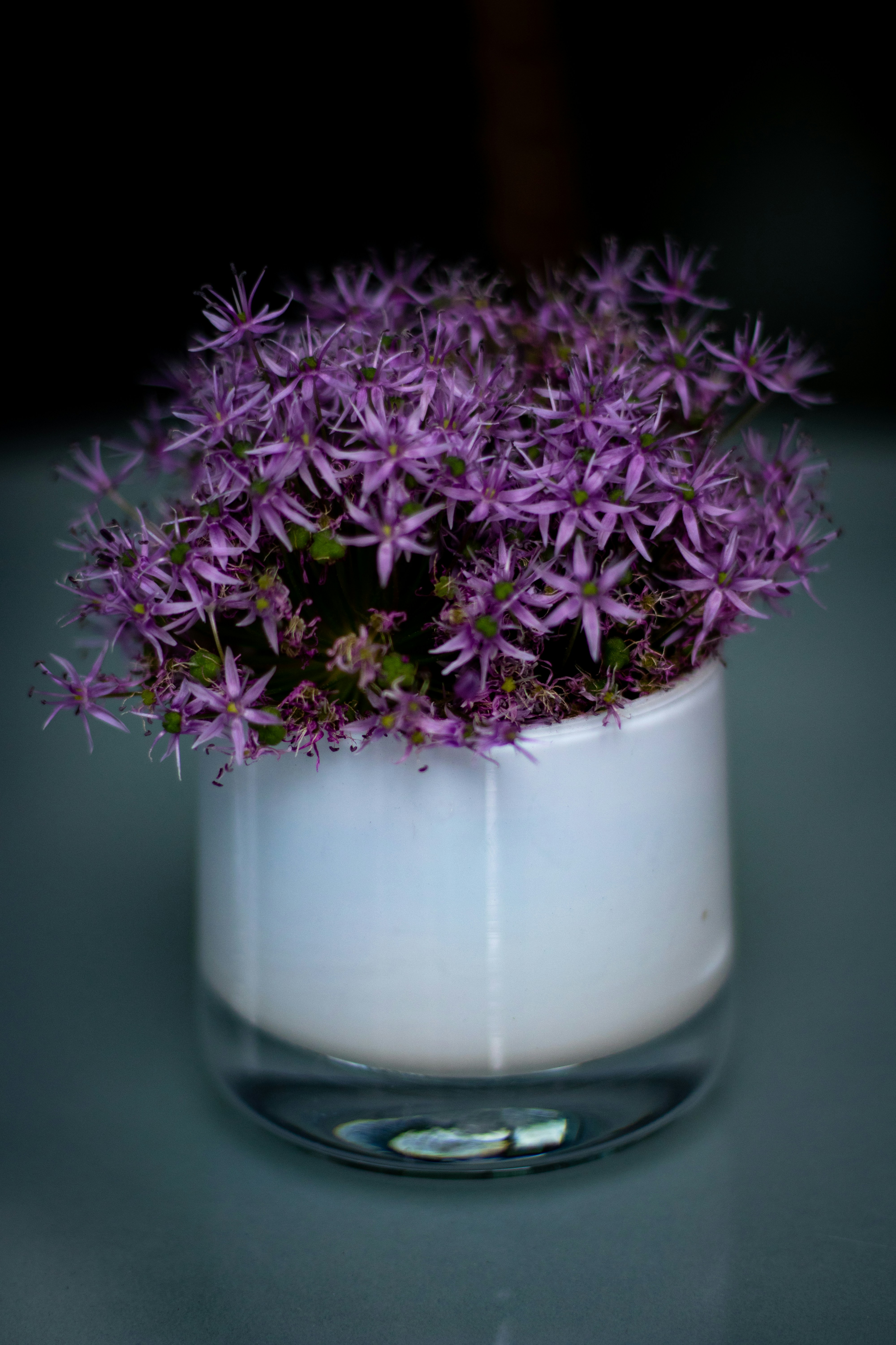 Photo by _king_louie_