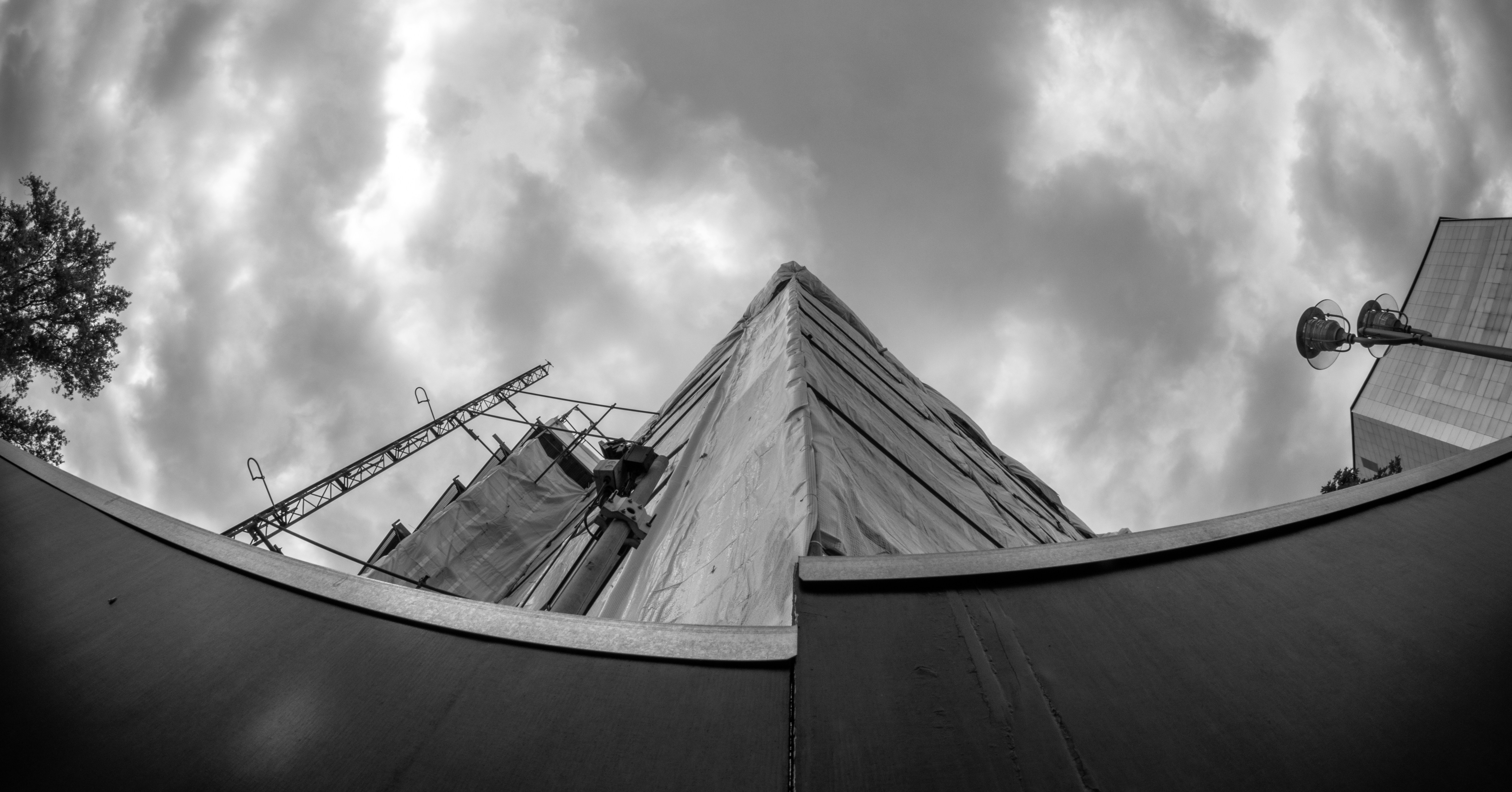 Photo by _king_louie_