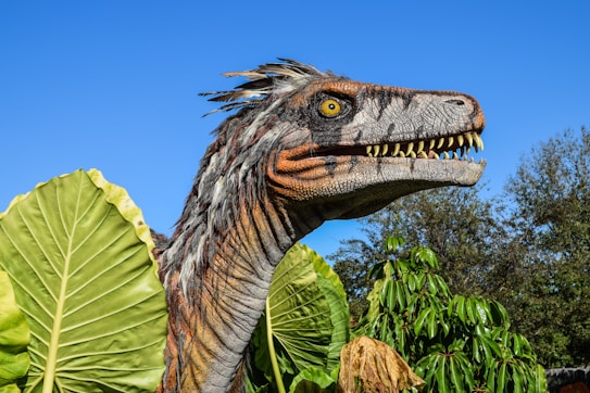 A lifelike model of a dinosaur, resembling a Velociraptor, is surrounded by large green leaves and tropical foliage. The dinosaur's head is detailed with textured scales and vibrant yellow eyes, while its mouth is open, revealing sharp teeth. The sky is clear and blue in the background, adding to the vivid display.